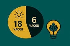 Освещение для автоцветов