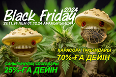 GanjaSeeds: Black Friday 2024 – жеңілдіктер 70%-ға дейін!